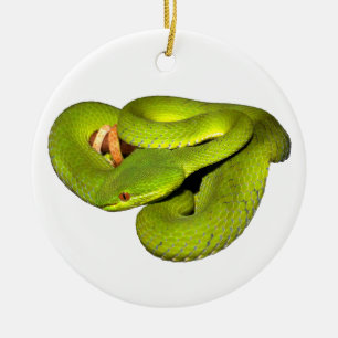 The white-lipped pit viper ceramic tree decoration