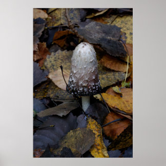 The White Mushroom Poster