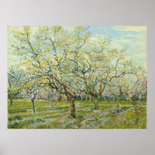 The white orchard by Vincent Van Gogh Poster