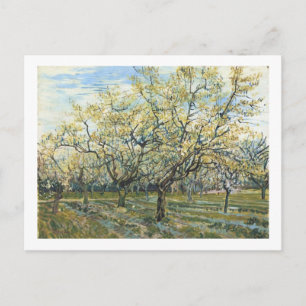 The White Orchard (F403) Van Gogh Fine Art Postcard