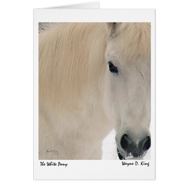 The White Pony (Front)