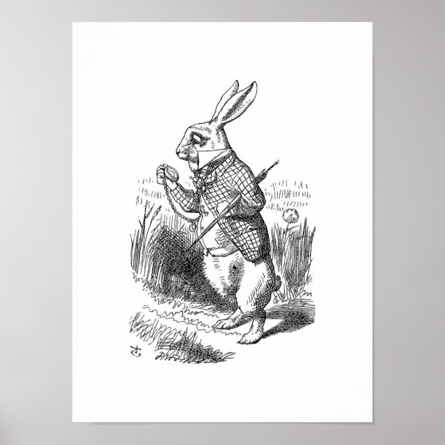 The White Rabbit Poster (Front)
