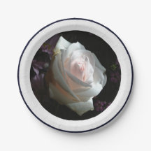 The White Rose -