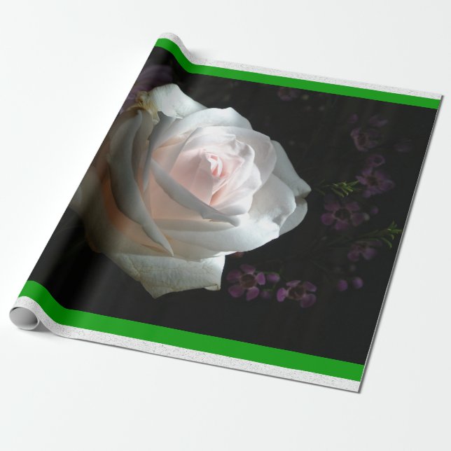 The White Rose - Wrapping Paper (Unrolled)