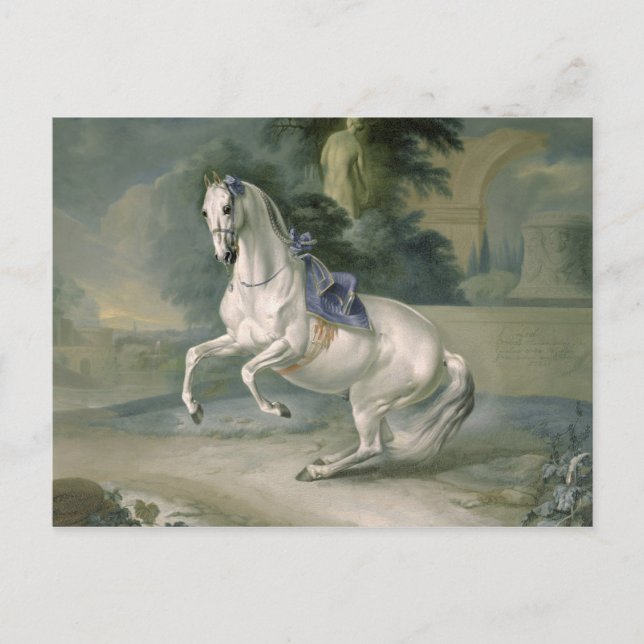 The White Stallion 'Leal' en levade, 1721 Postcard (Front)