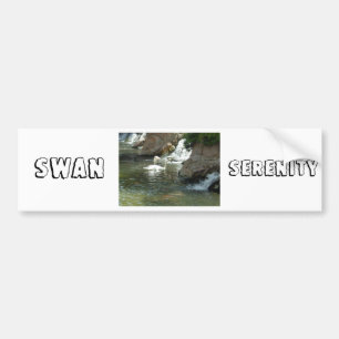 The White Swan Bumper Sticker