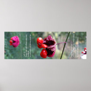 The Whole Scheme of Things Poster