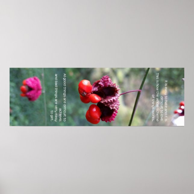 The Whole Scheme of Things Poster (Front)