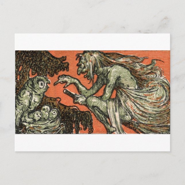 The wicked witch and the owls postcard (Front)