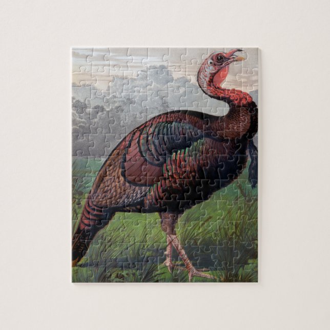 The Wild American Turkey Cock, illustration from ' Jigsaw Puzzle (Vertical)