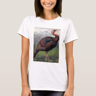 The Wild American Turkey Cock, illustration from ' T-Shirt
