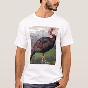 The Wild American Turkey Cock, illustration from ' T-Shirt