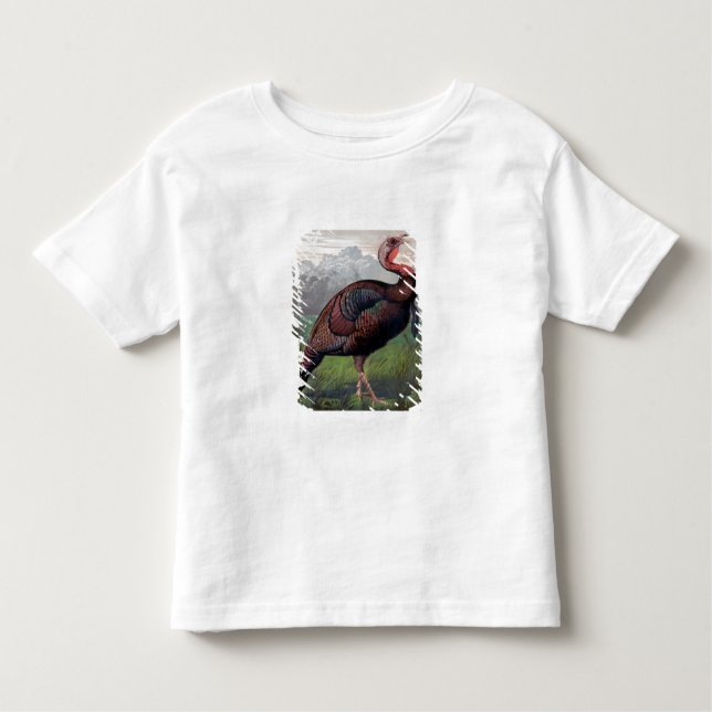 The Wild American Turkey Cock, illustration from ' Toddler T-Shirt (Front)