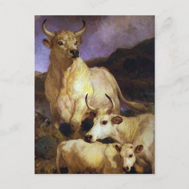 The Wild Cattle of Chillingham by Edwin Henry Land Postcard (Front)