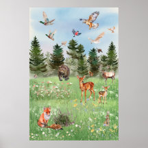 The Wild Life of Forest Animals