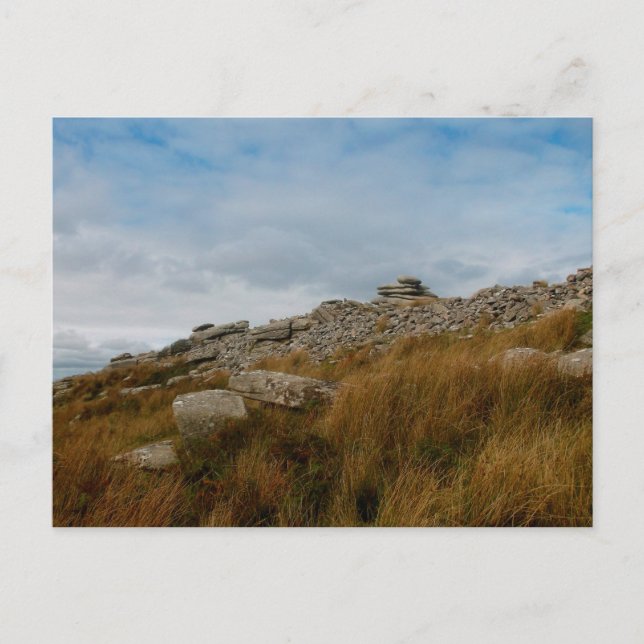 The Wild Moors Bodmin Moor Cornwall England Postcard (Front)