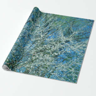 The wild plum tree in blossom  wrapping paper