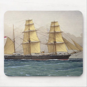 The Wild Swan, 1906 Mouse Pad