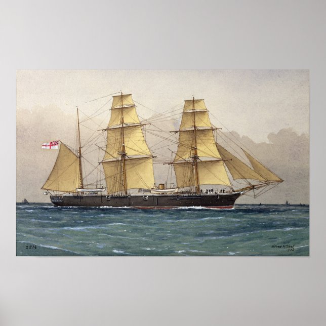 The Wild Swan, 1906 Poster (Front)