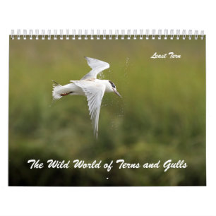 The Wild World of Terns and Gulls Calendar