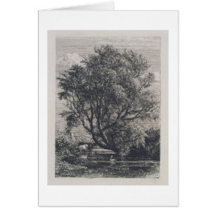 The Willow (etching)