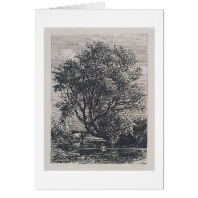 The Willow (etching) (Front)