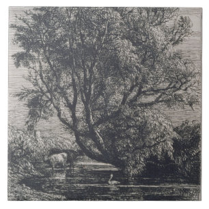 The Willow (etching) Ceramic Tile
