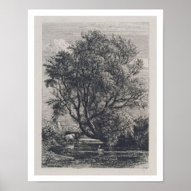 The Willow (etching) Poster (Front)