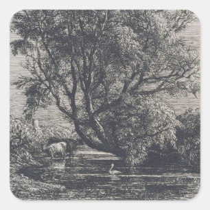 The Willow (etching) Square Sticker