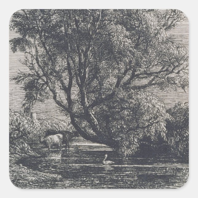 The Willow (etching) Square Sticker (Front)