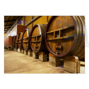 The wine cellar winery with big old wooden casks