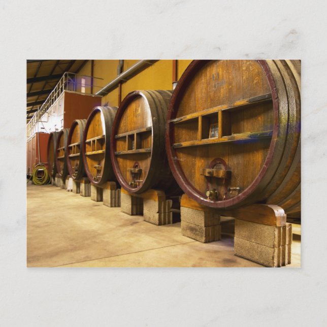 The wine cellar winery with big old wooden casks postcard (Front)