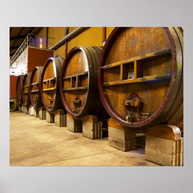 The wine cellar winery with big old wooden casks poster (Front)