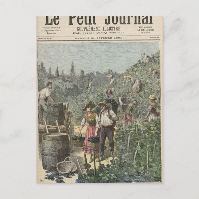 The Wine Harvest Postcard (Front)