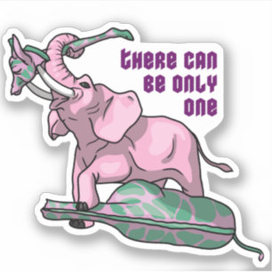 The winner by a head