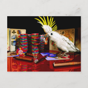 The Winner Postcard