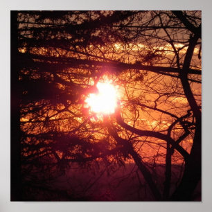 The Winter Sun Poster
