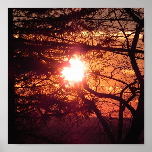 The Winter Sun Poster (Front)