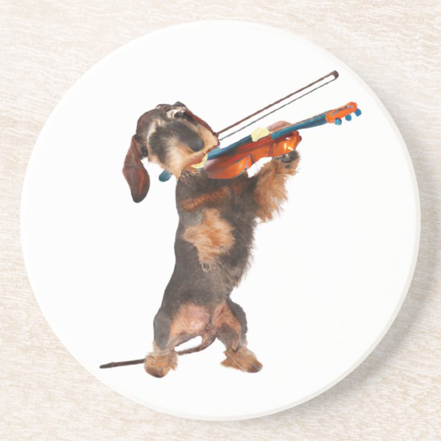 The Wirehaired Dachshund Playing A Violin Coaster (Front)