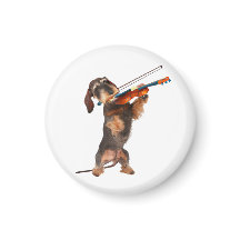 The Wirehaired Dachshund Playing A Violin