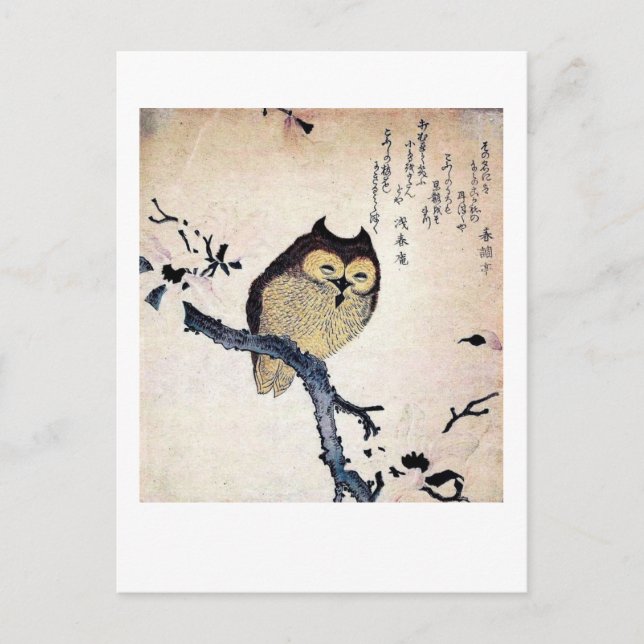 The Wise Old Owl Postcard (Front)