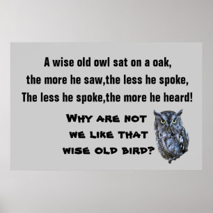 THE WISE OLD OWL poster