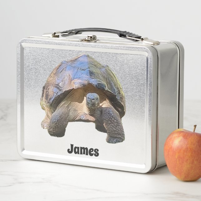 The wise old Tortoise Metal Lunch Box (In Situ)