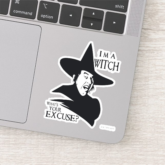 The Wizard Of Oz™ | I'm A Witch (Detail)