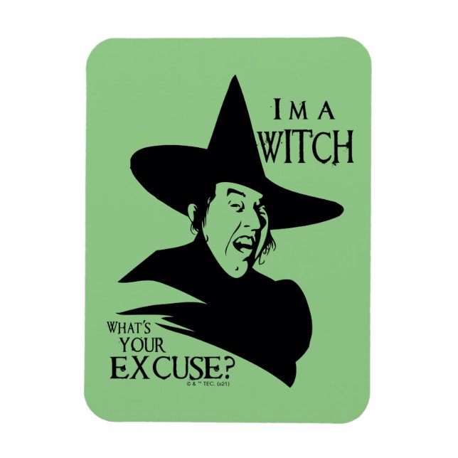 The Wizard Of Oz™ | I'm A Witch Magnet (Vertical)