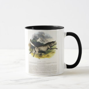 The Wolf (Canis lupus) educational illustration pu Mug