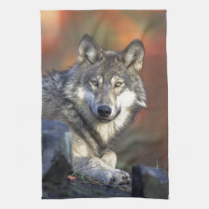 The Wolf Tea Towel