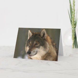 The Wolf Valentine Card