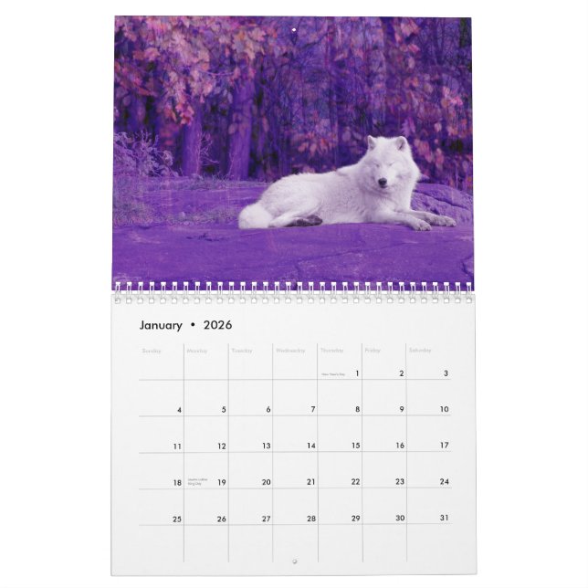 The Wolves of Canada (Calendar) Calendar (Jan 2026)