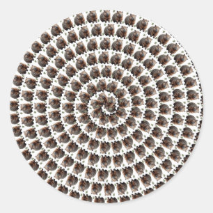 The Wombat Whirl: A Spiral of Wonder, Classic Round Sticker